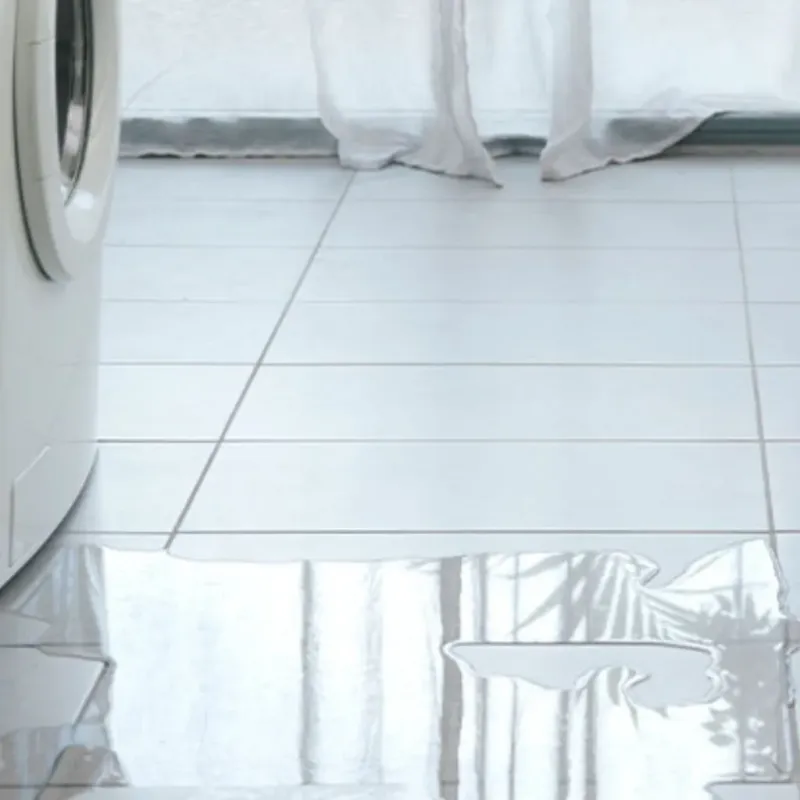 Appliance Leak Cleanup in Shelton, WA