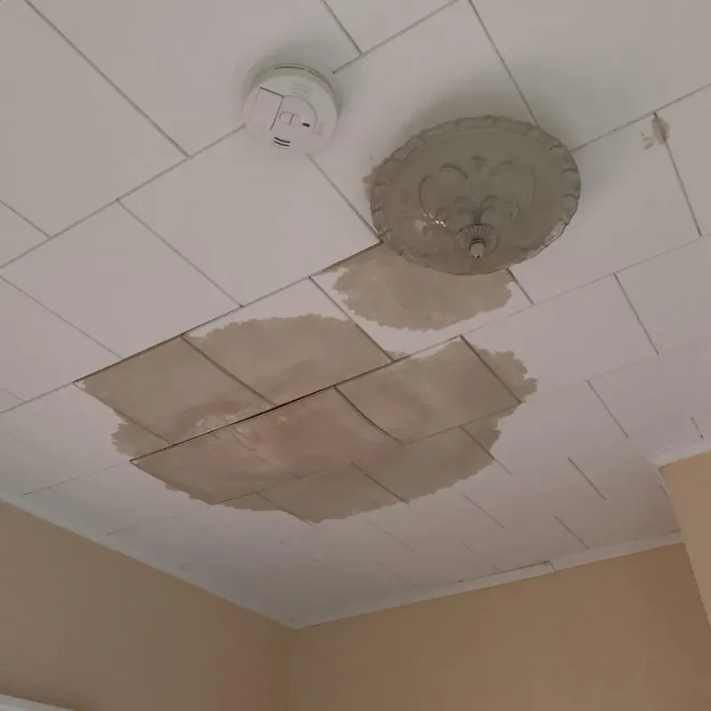 Ceiling Water Damage Repair in Shelton, WA