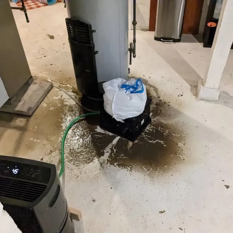 Sewage Backup Cleanup Service in Shelton, WA